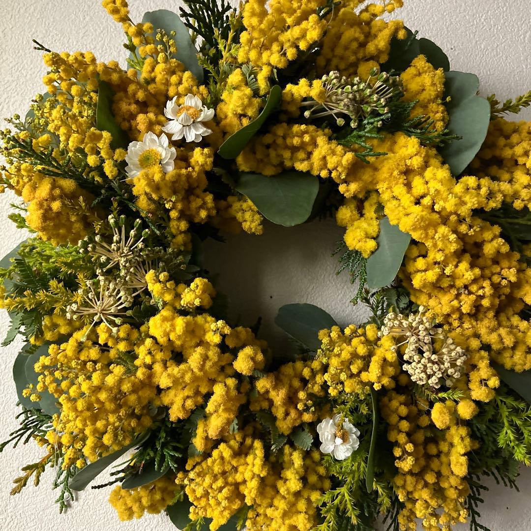 感謝SALE!もりもりミモザのリース　26㎝　銀葉アカシア　花かんざし　春