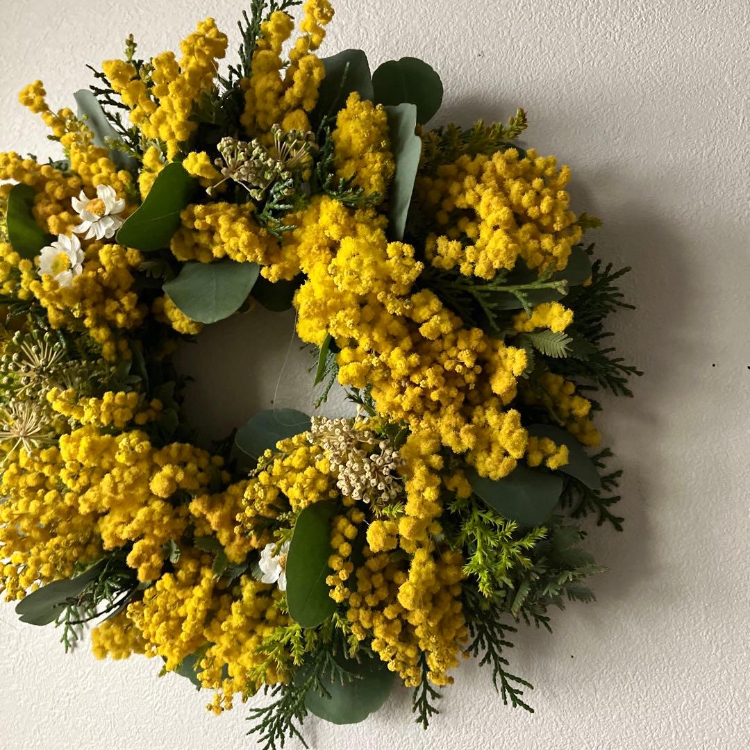 感謝SALE!もりもりミモザのリース　26㎝　銀葉アカシア　花かんざし　春