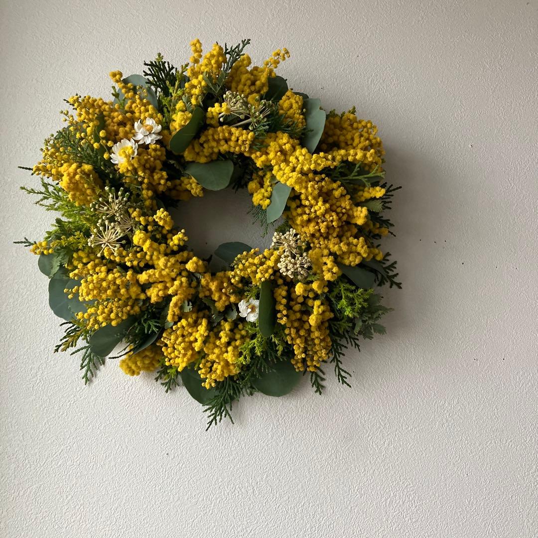 感謝SALE!もりもりミモザのリース　26㎝　銀葉アカシア　花かんざし　春