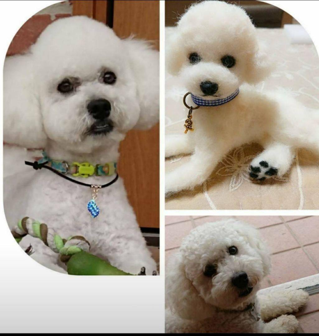 羊毛フェルト犬、サンプル画像