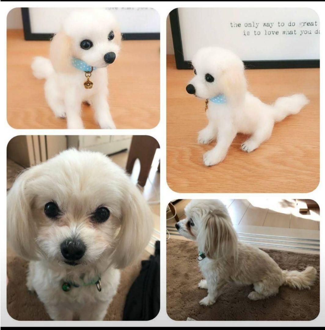 羊毛フェルト犬、サンプル画像