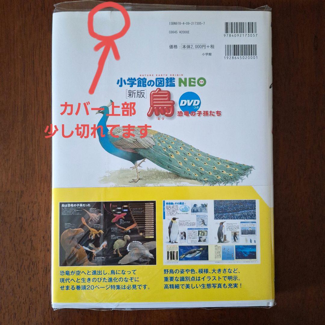 るり　小学館　図鑑　NEO 魚　他　全5冊
