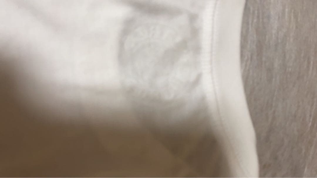 【正規品・新品未使用】クロムハーツ ネックロゴT Lサイズ