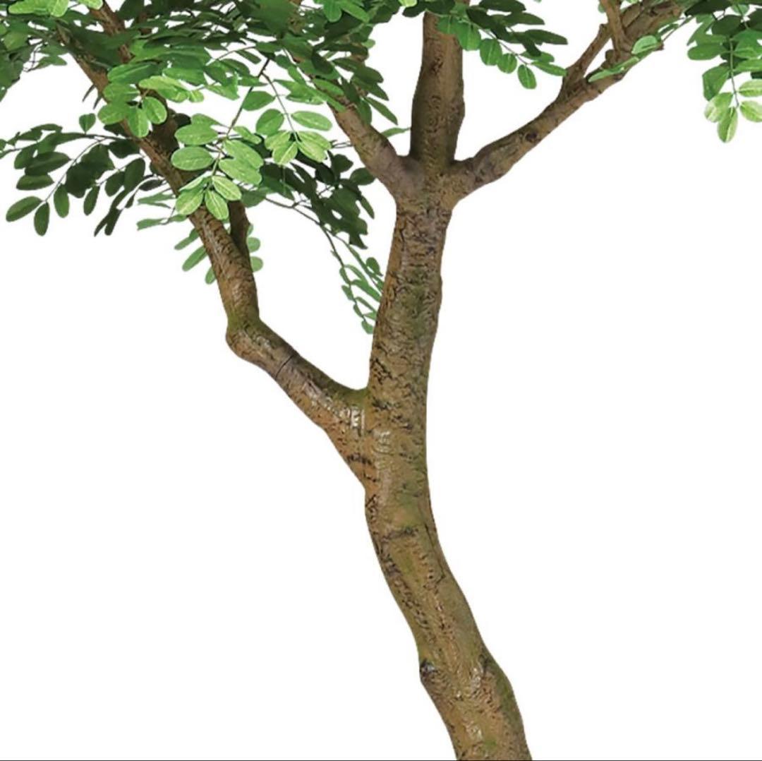 光触媒　人工観葉植物　ウォールグリーン　フェイクグリーン　アカシアコアッド花器付