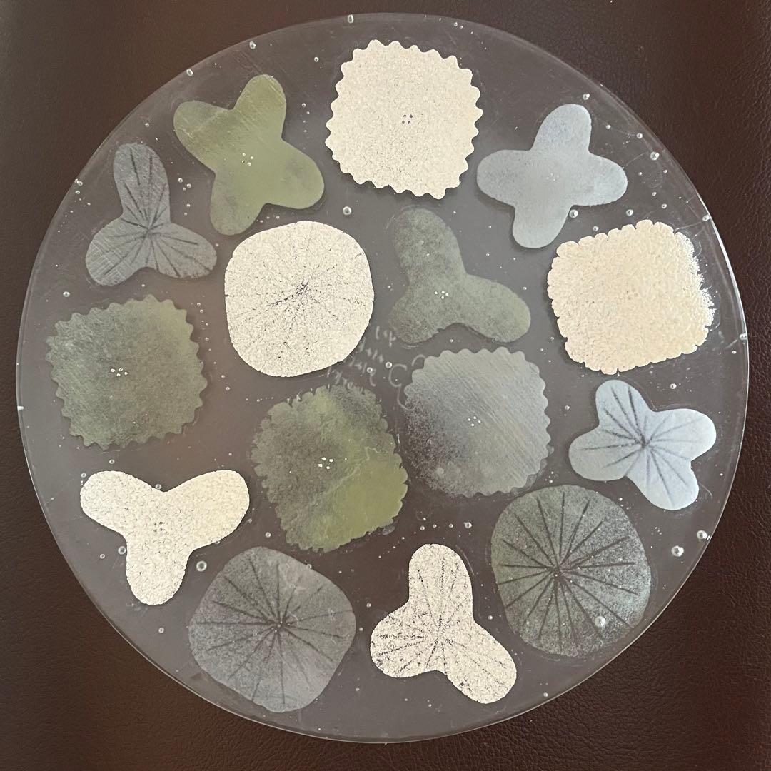 【新品】八木麻子　ブーケ　ブルーグレー　花