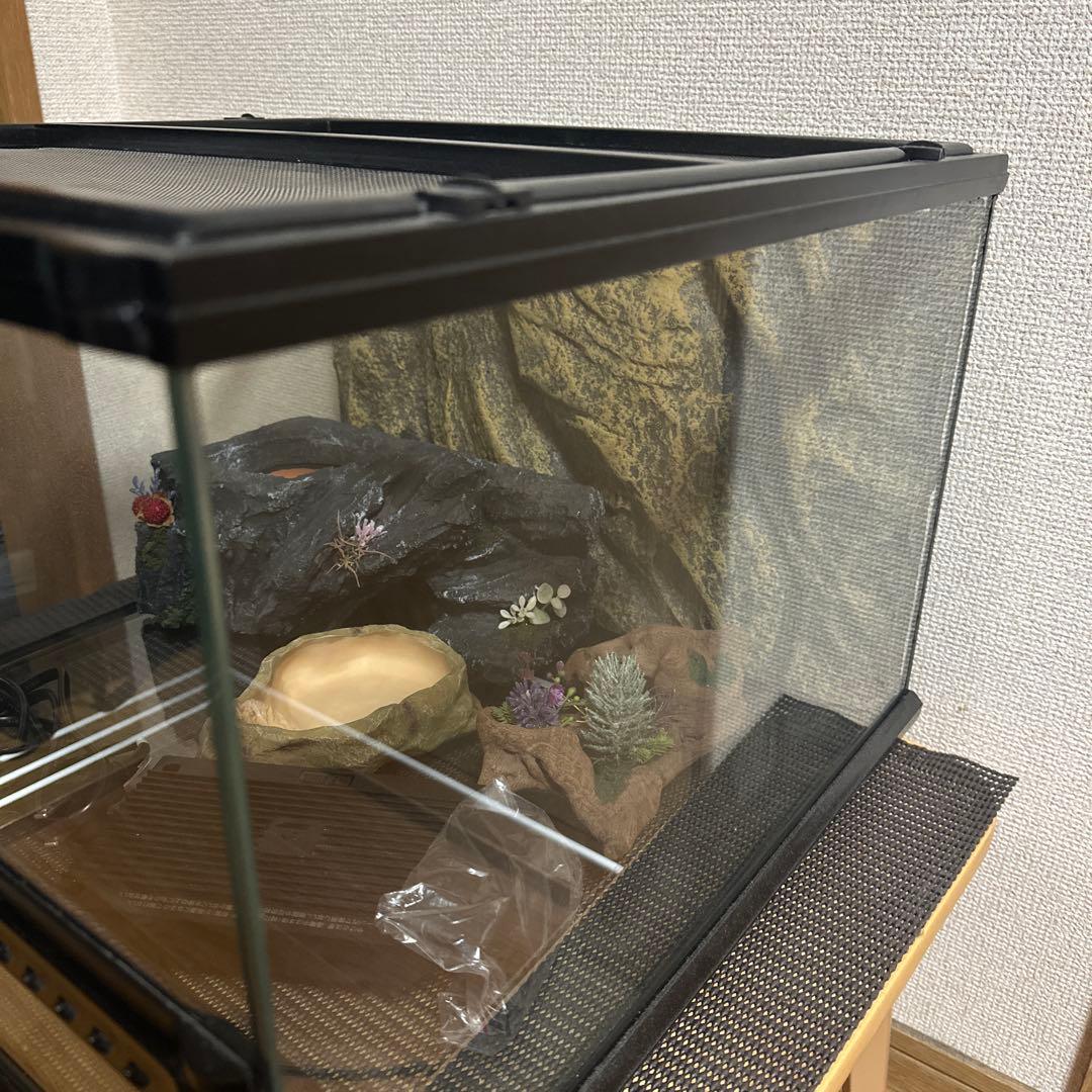 グラステラリウム4530その他飼育用品セット