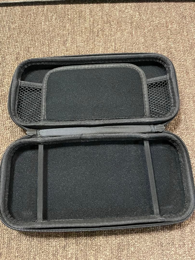 Nintendo Switch Lite コーラルピンク ピンク　ケース付き