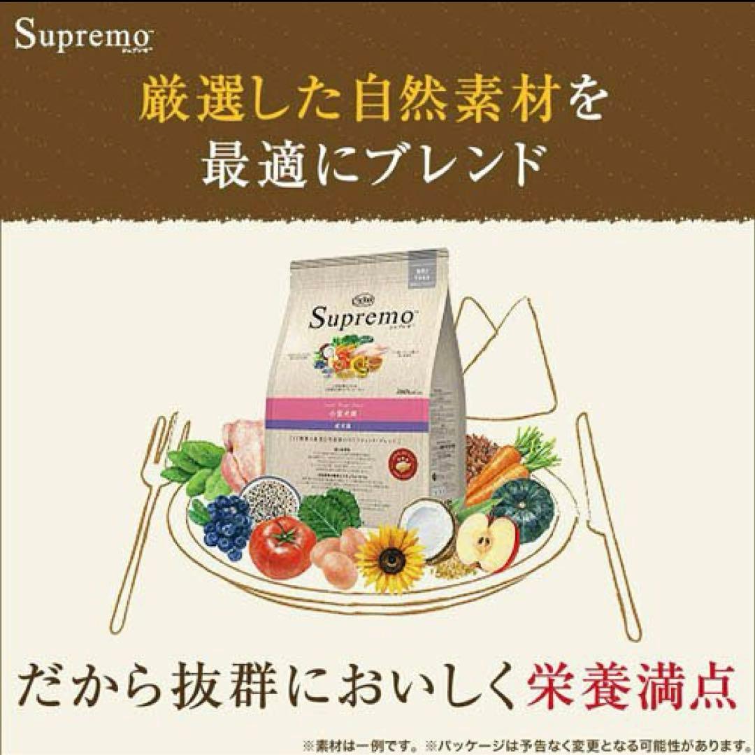 Supremo ドッグフード　ニュートロ シュプレモ 子犬用 小粒(6kg)