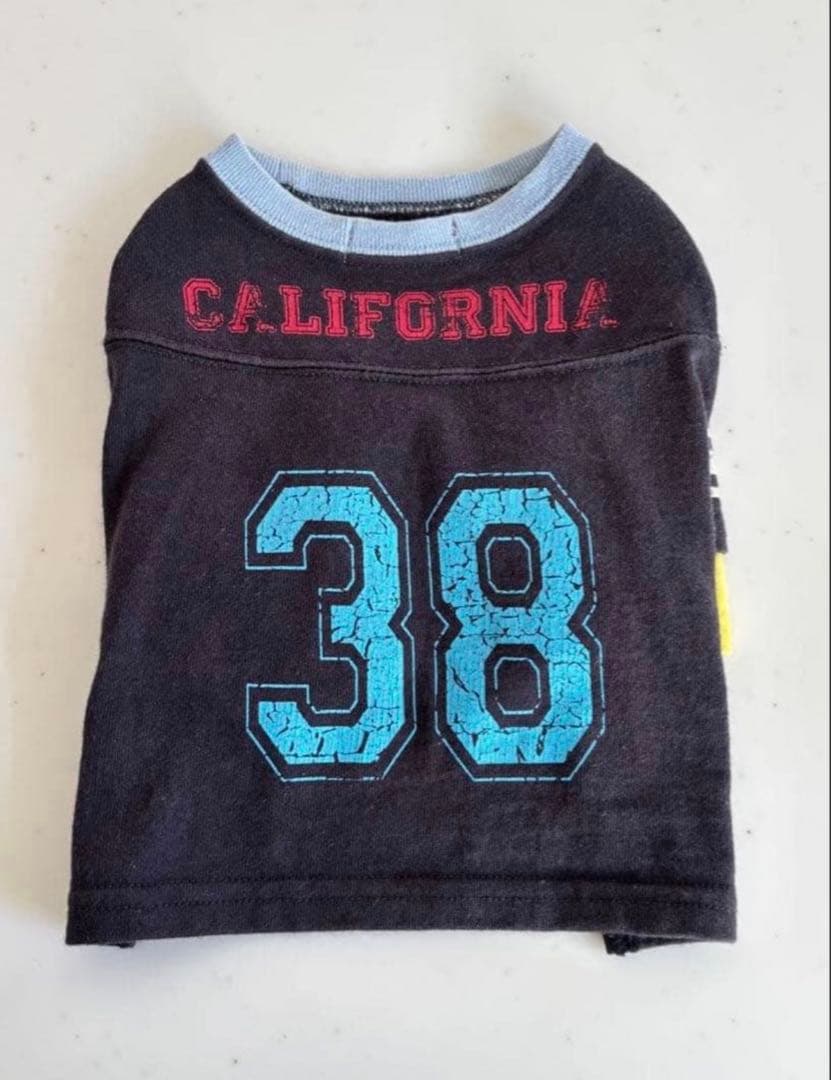 アトリエGG ドッグウェア4着セット