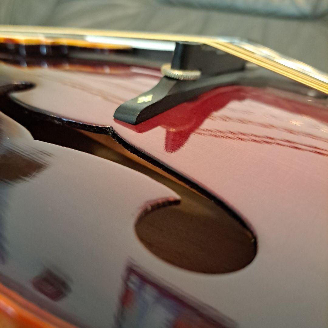 超希少！アイバニーズ 524ヴィンテージ、フラットマンドリン！