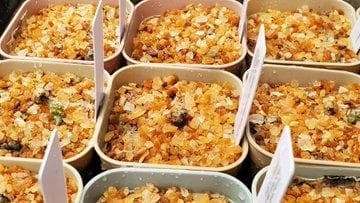 2025輸入　テフロカクタス　種子全量