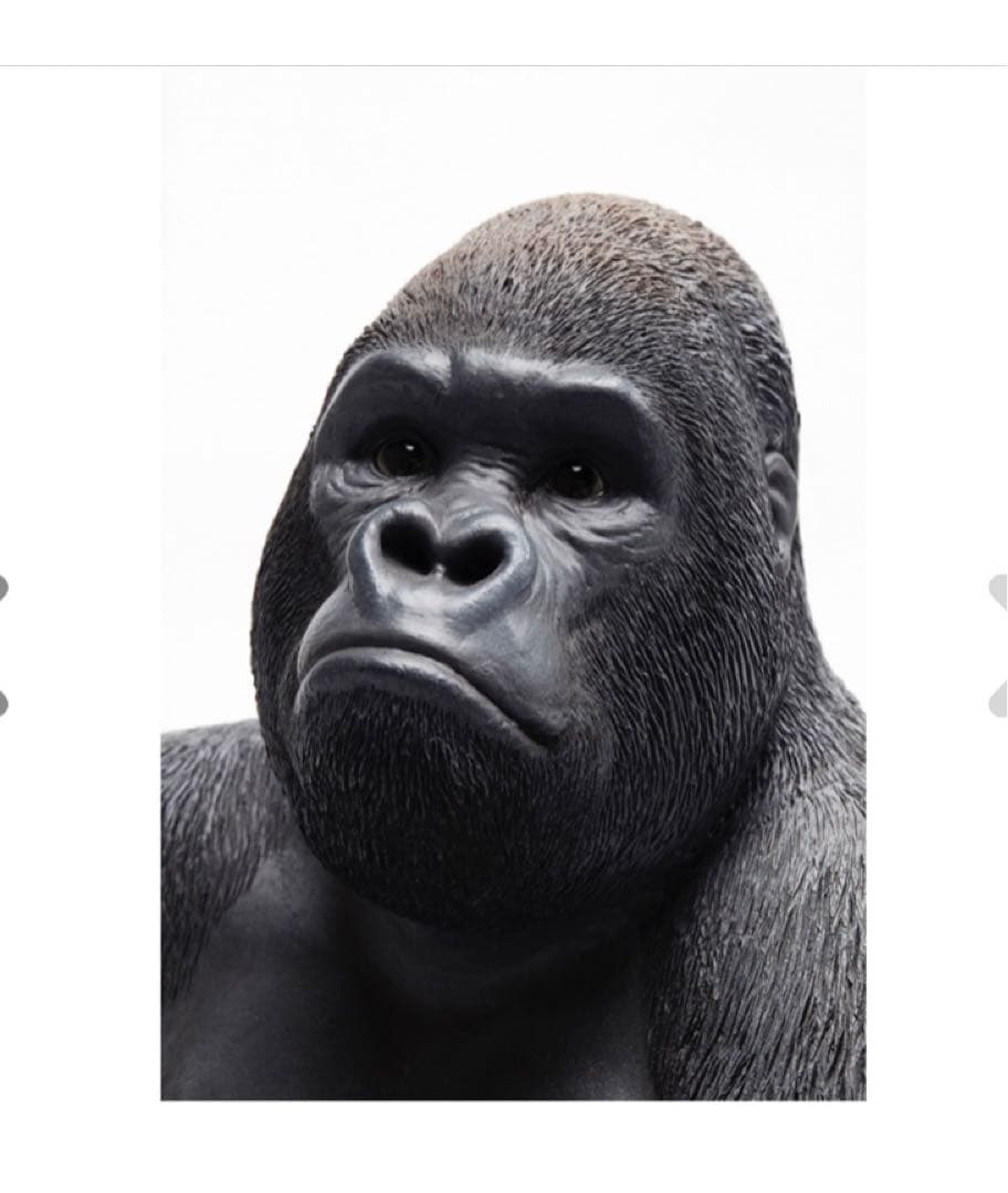 KARE 正規品 オブジェ　小ぶりでも迫力満点のゴリラのデコフィギュア