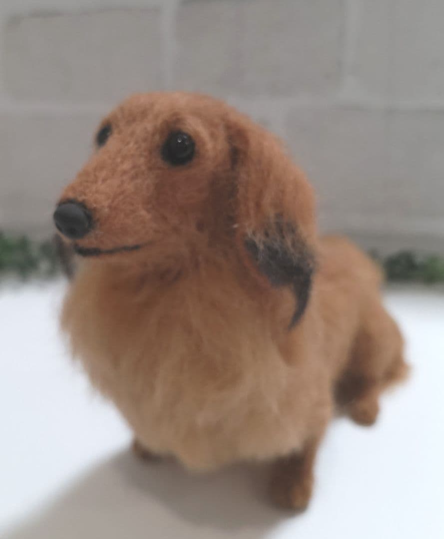 【専用です】ミニチュアダックス♡レッド♡羊毛フェルト☆ハンドメイド