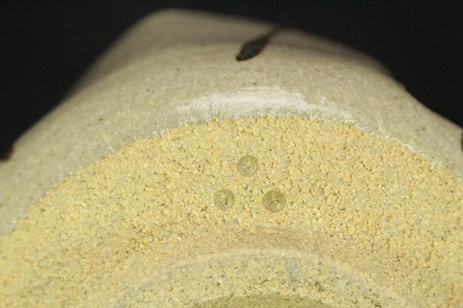 十二代 中里太郎右衛門 作 絵唐津 向付 六客 共箱 未使用(ZE609)