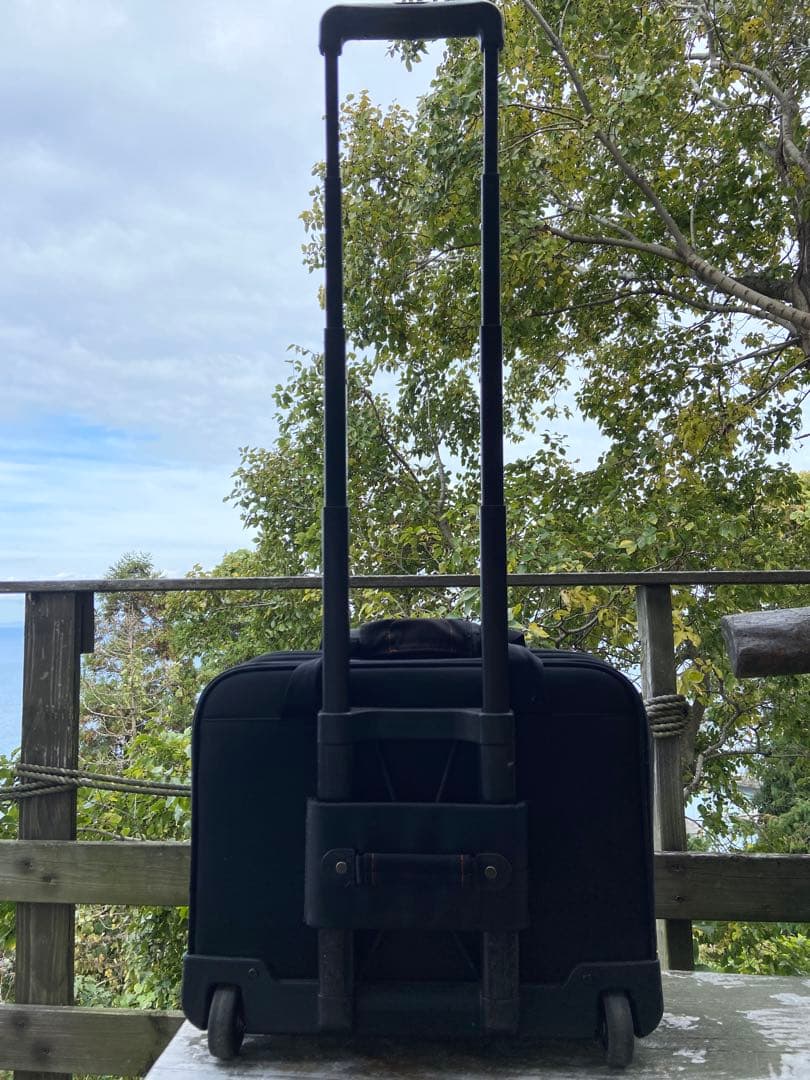 永久保証✨キャリーケーストランク Briggs & Riley