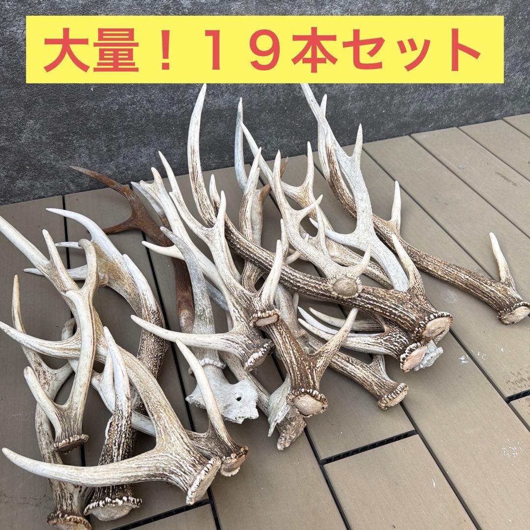 鹿の角 置物 インテリア装飾