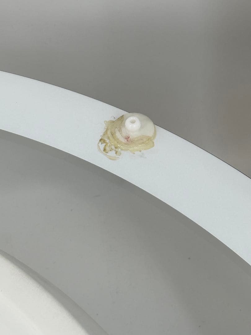 BONALDO ガラステーブル　直径100cm 厚み0.8cm