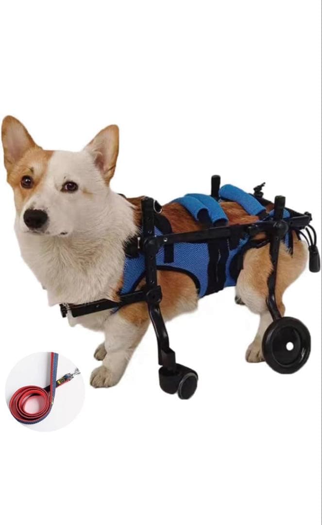 犬用車椅子　Mikeart Mサイズ