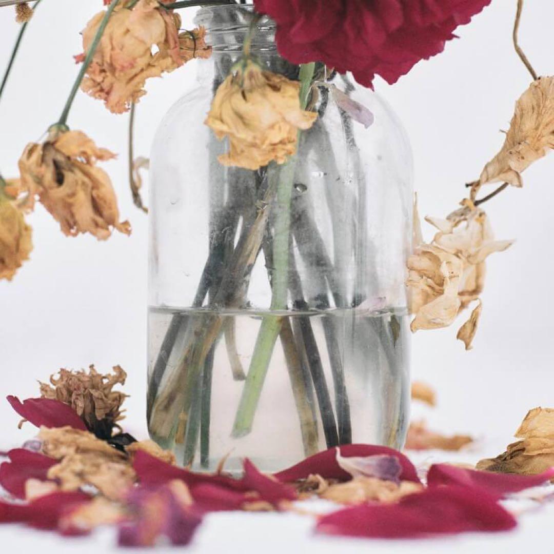 唾奇 Camellia LP (2 vinyl set)