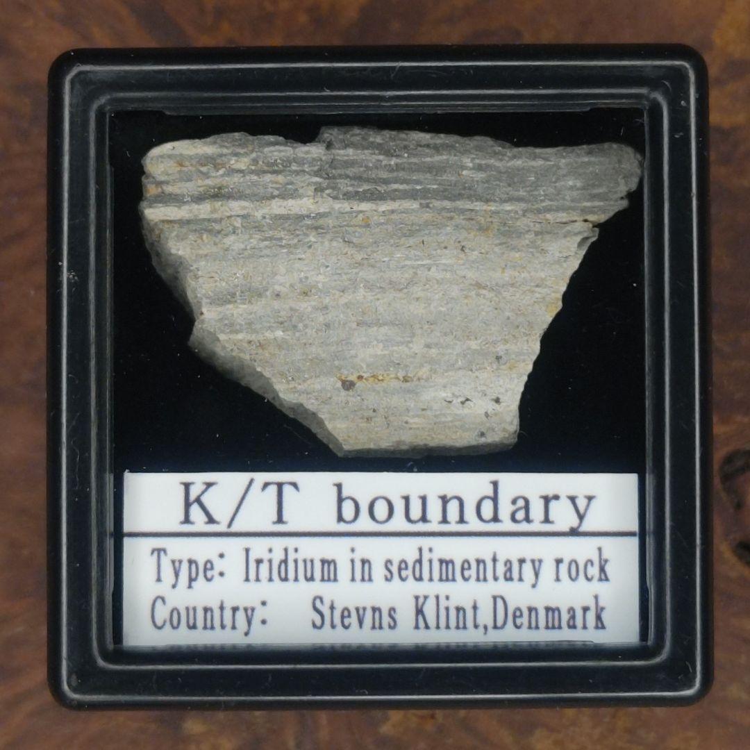 ✨入手不可！小惑星のかけら Ｋ-Ｔ境界層（K/Pg境界頁岩）標本大