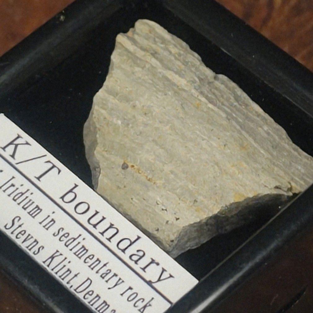 ✨入手不可！小惑星のかけら Ｋ-Ｔ境界層（K/Pg境界頁岩）標本大