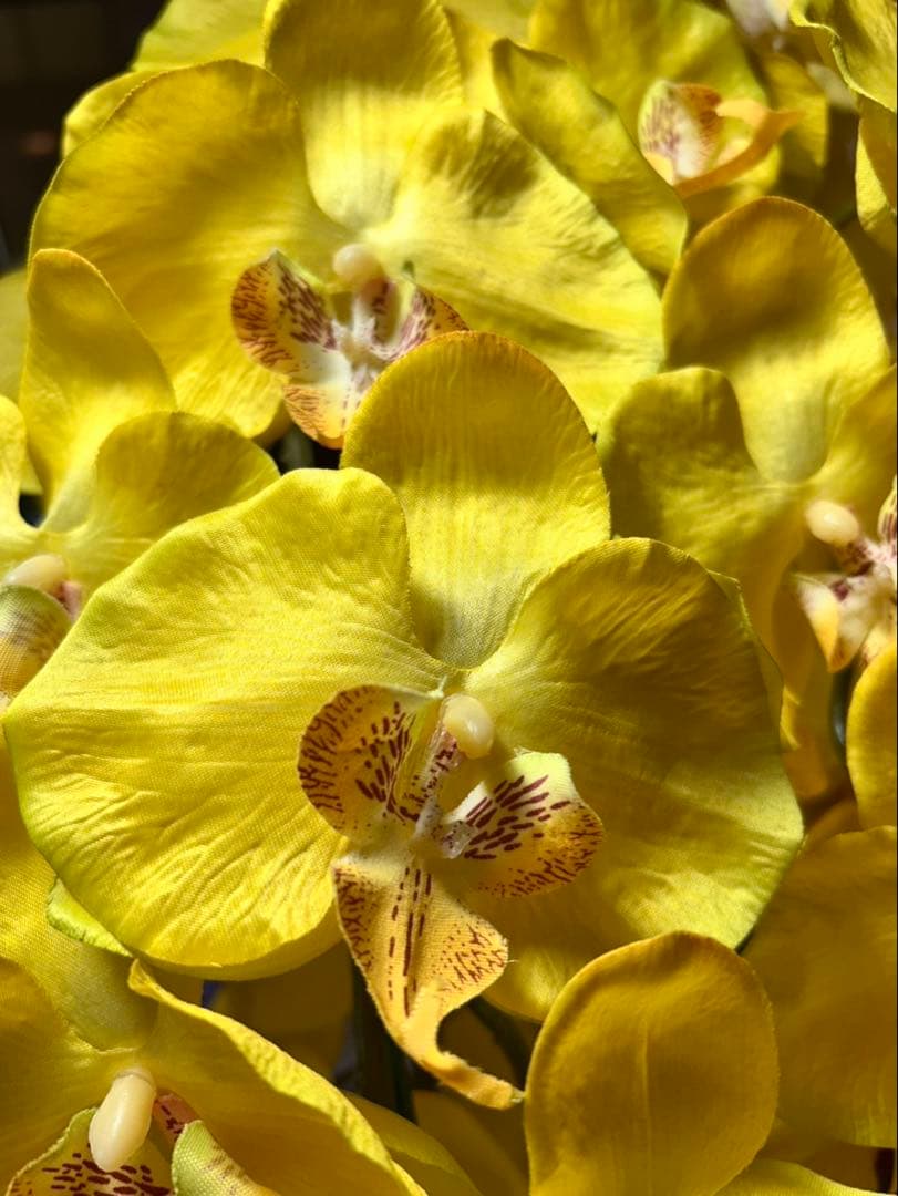 光触媒　人工観葉植物　ウォールグリーン　フェイクグリーン　胡蝶蘭黄色112