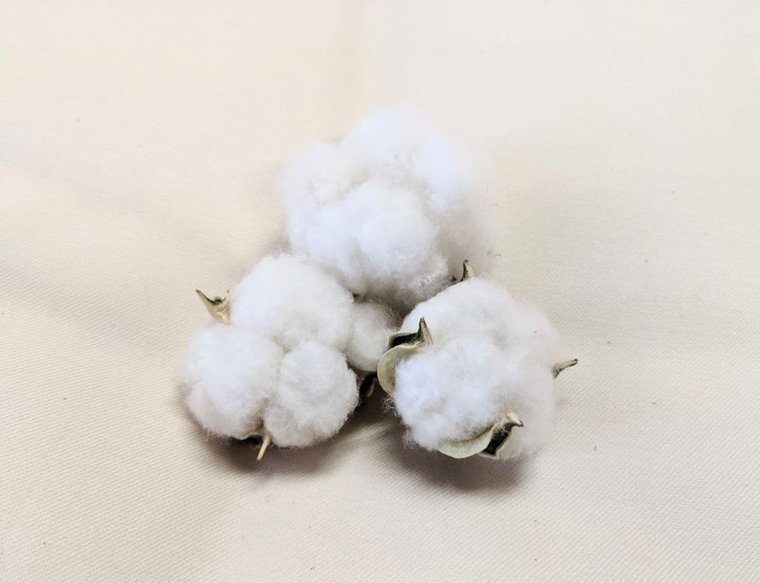 手作りコットンS合掛ふとん(シングル軽め)内閣総理大臣賞受賞