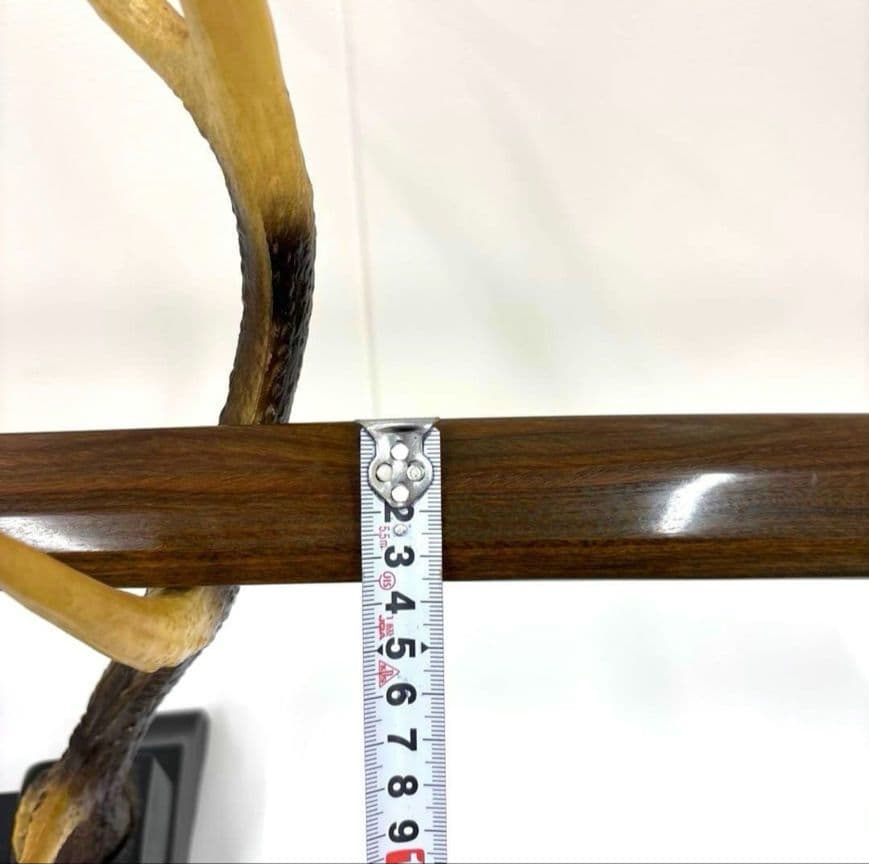 カワセミ！世界最強の木！リグナムバイタの木刀！鏡面仕上げ！