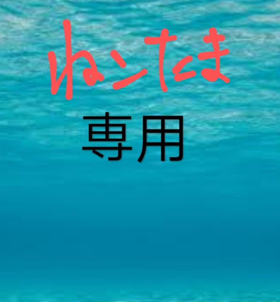 赤身 中とろ ねこたま