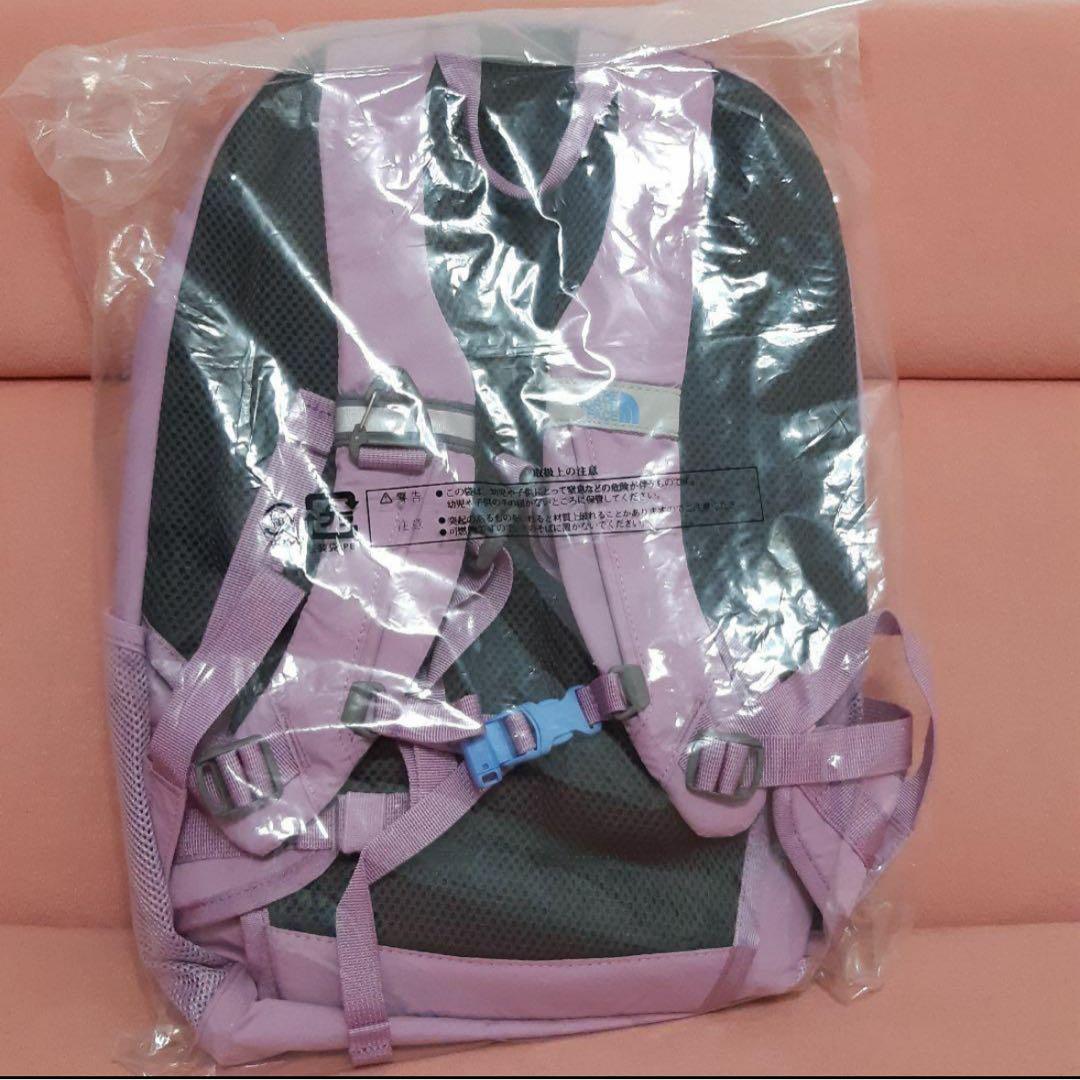 ノースフェイス ラウンディ スモーキーグレープ 22L