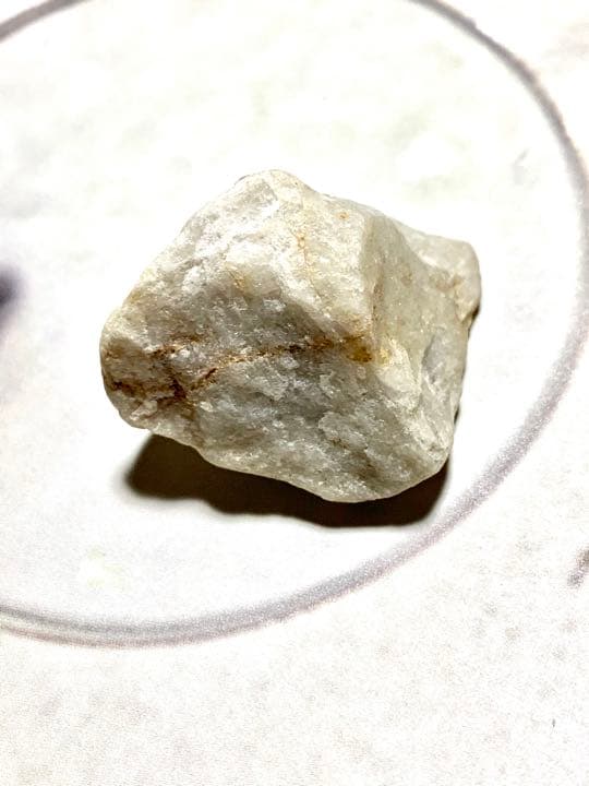 No.8 アルクトゥルスシーライト