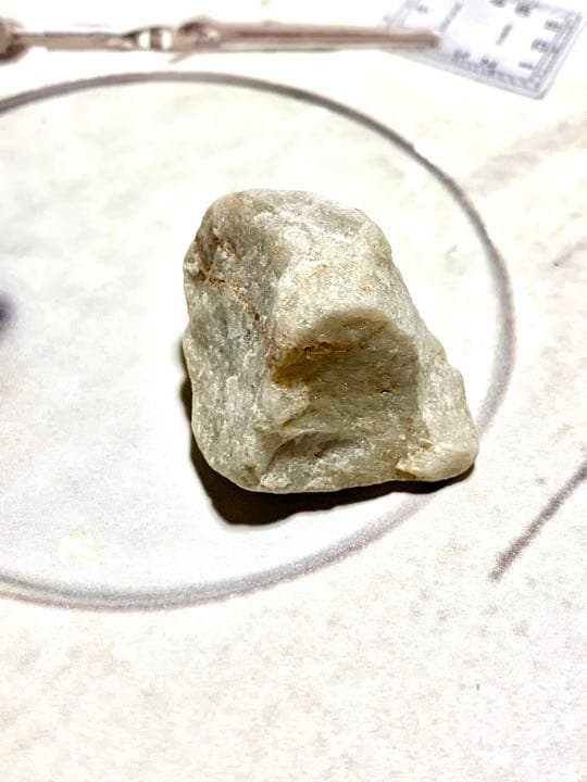 No.8 アルクトゥルスシーライト