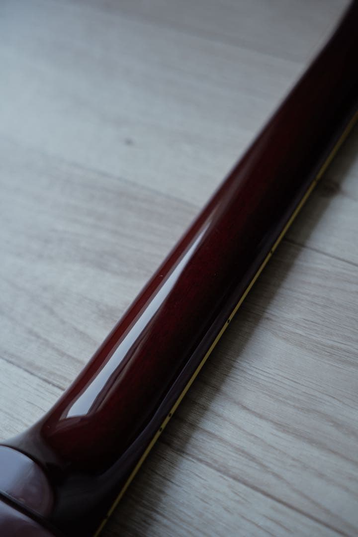 FUJIGEN NCLS-20R 美品