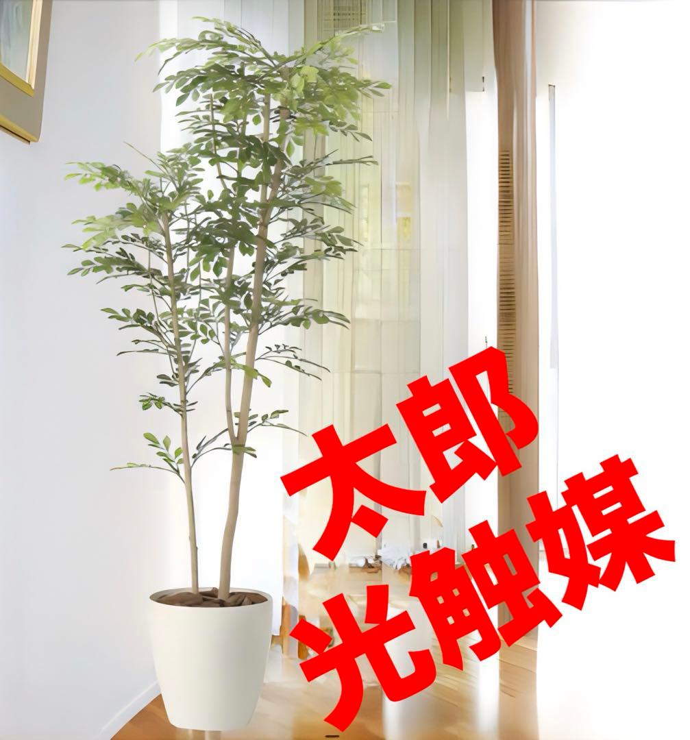 光触媒　人工観葉植物　ウォールグリーン　フェイクグリーン　ツートントネリコ1.6