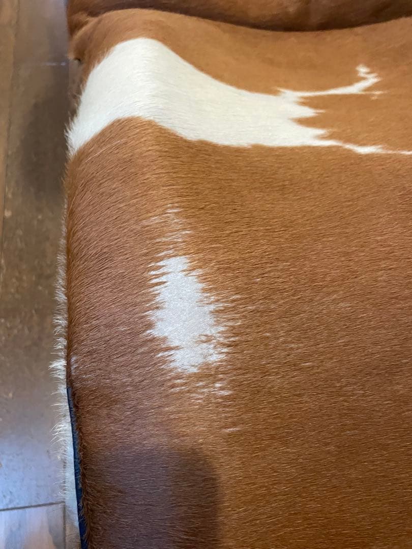 ル　コルビジェ（リプロダクト品）