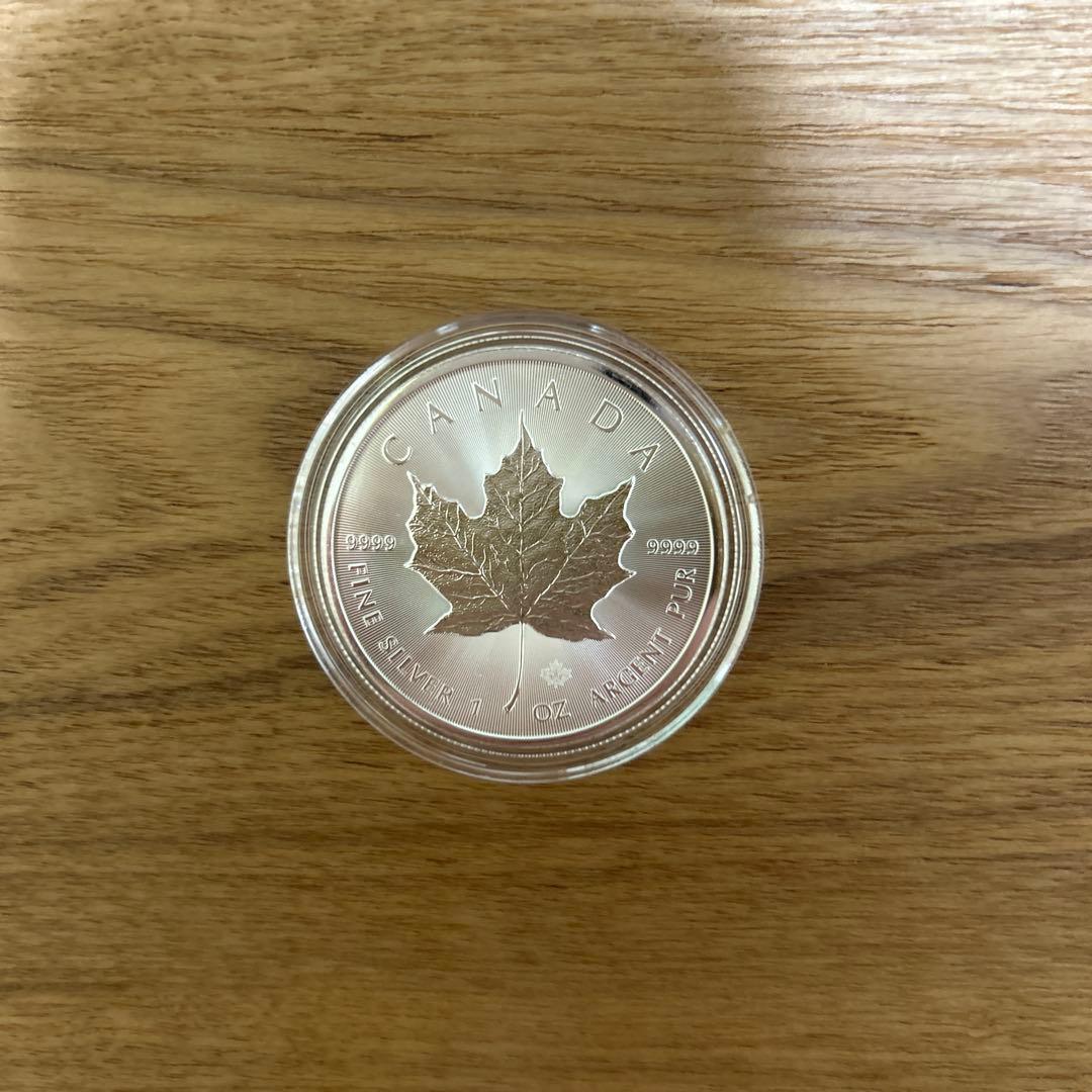 純銀　カナダ　2025 メイプル