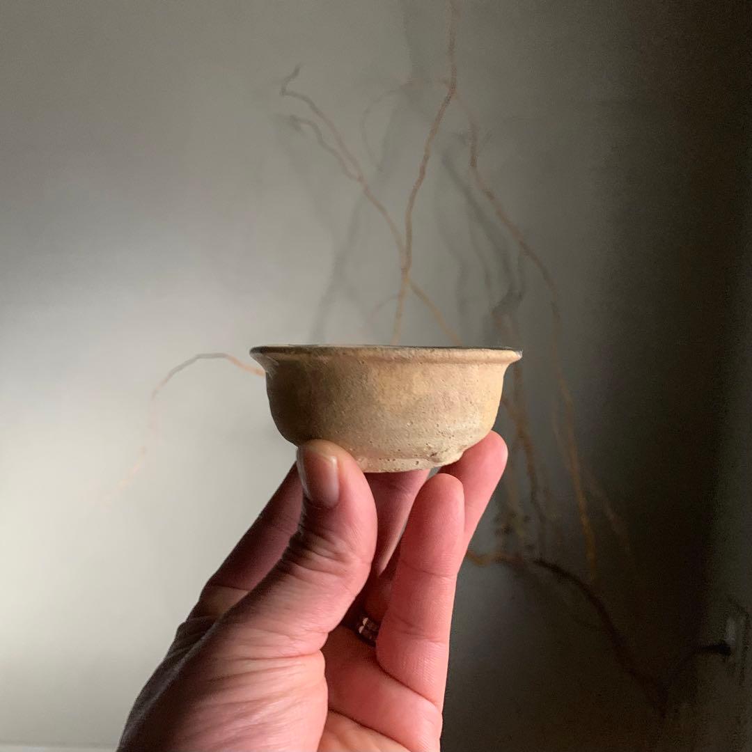 無地志野盃 桃山〜江戸初 古美術 志野 盃 ぐい呑み 古道具 アンティーク 陶片