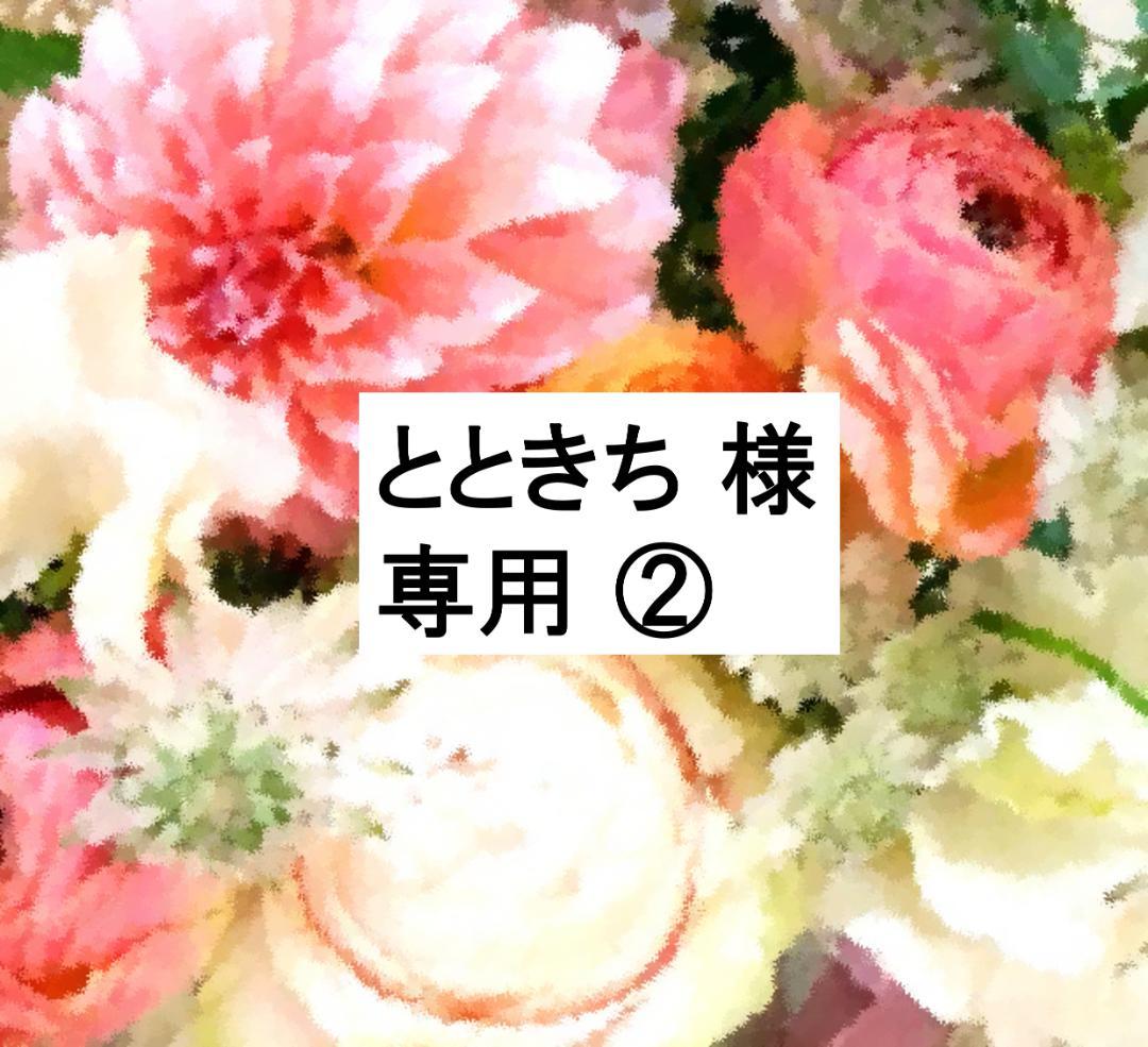 とときち ②　2020年 最新版ミッキーパッケージ＋Q DWE ディズニ