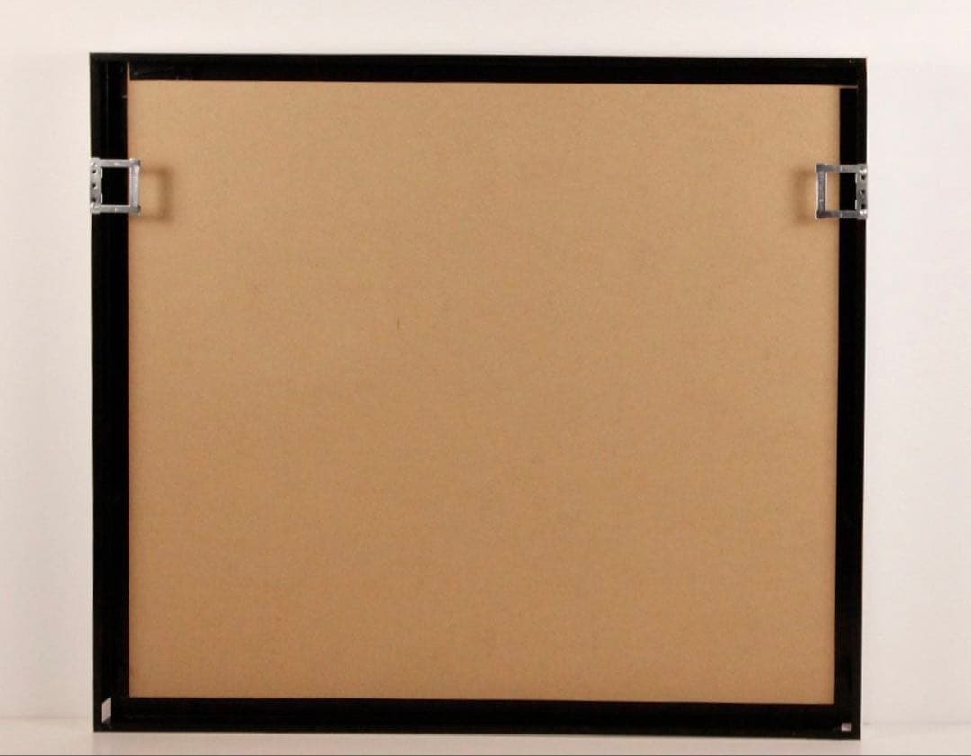 【限定150】ホアンコルネラ 「Humans Are A Virus」 【模写】