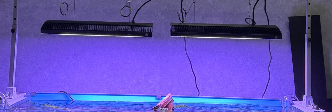 WEEK AQUA A430 TH RGB ブラック　Yamatoさん専用