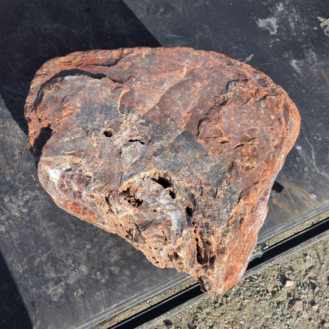 アリゾナ産　珪化木　77キロ　庭石　石 鑑賞石　石材　置物　オブジェ　インテリア