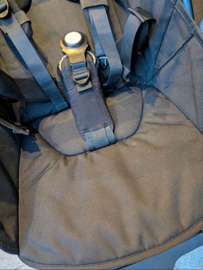 【猫ちゃん様ご依頼品】Bugaboo　バガブー　ドラゴンフライ