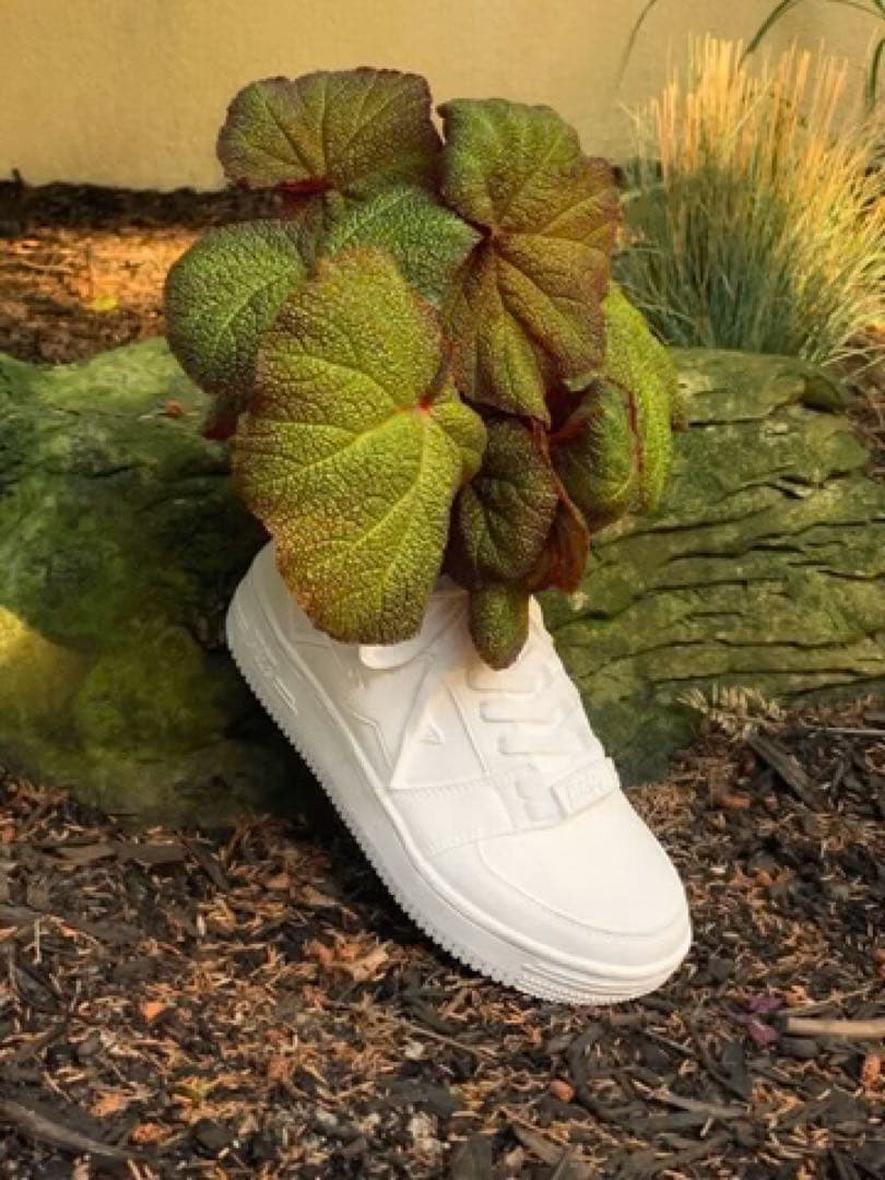 激レア　Bape x Bodega Rose Bapesta プランター　未使用