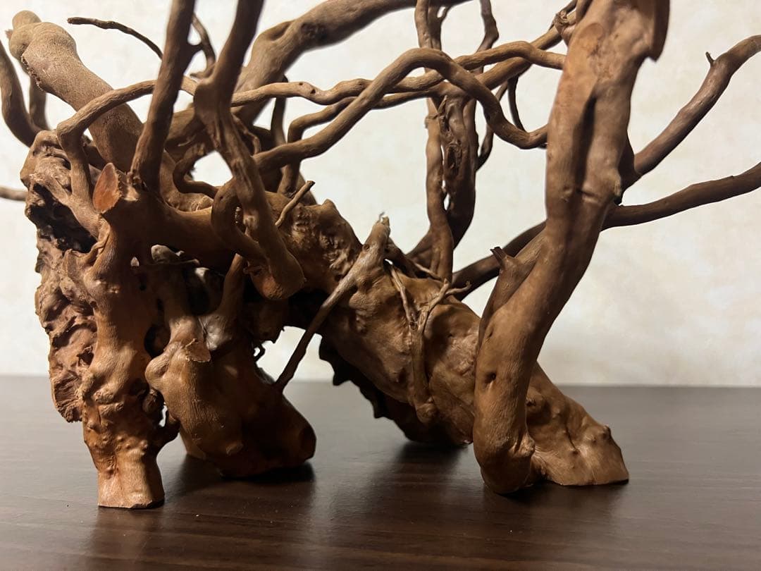 51608 ブランチウッド　流木　アクアリウム 沈水確認済