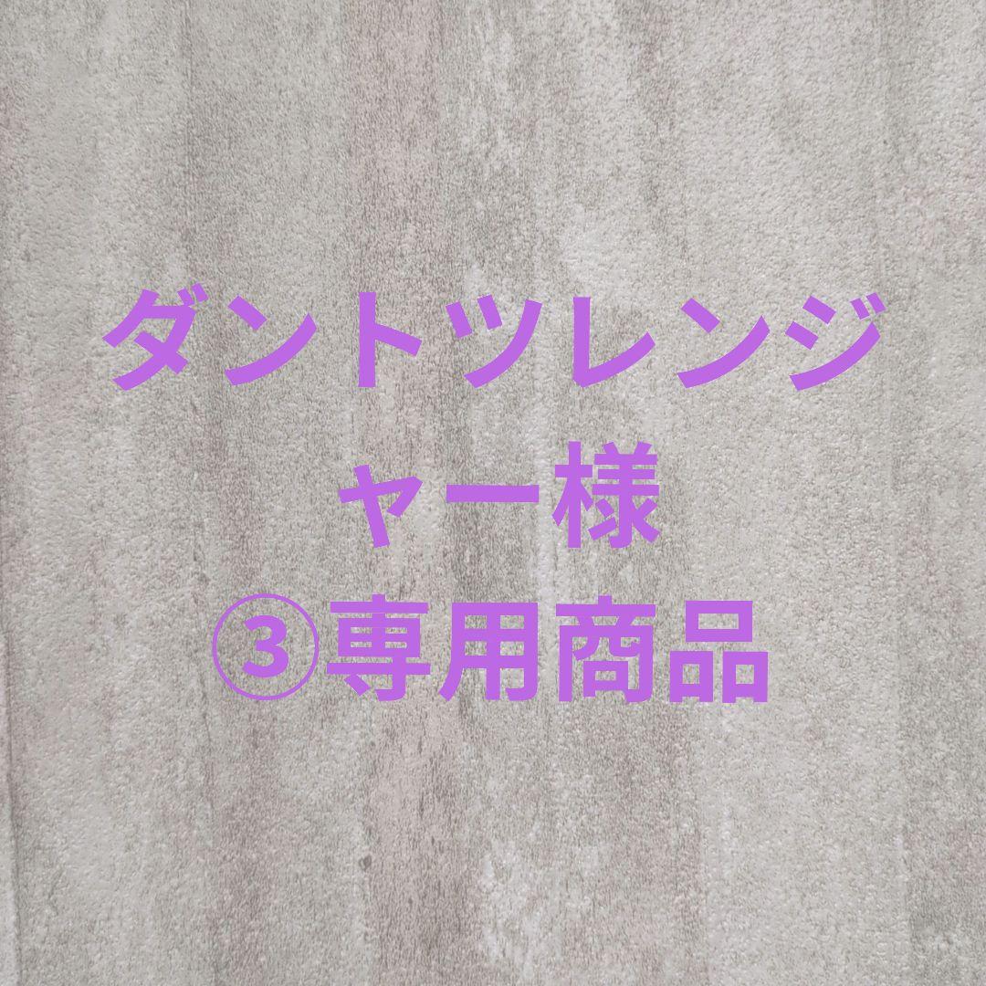 ダントツレンジャー様③専用商品