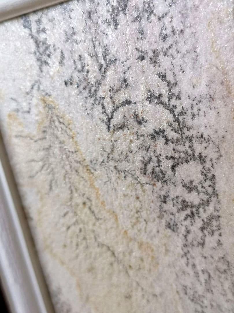 【ブラジル】デンドライト石板額　花草化石　DENDRITOS DO BRAZIL