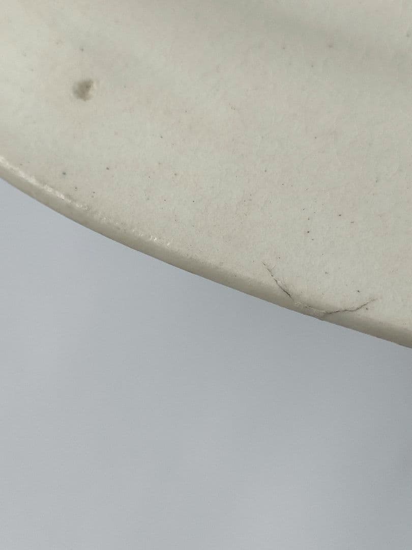 希少　ジョワジールロワ　多彩色　パンジー　平皿　フランスアンティーク