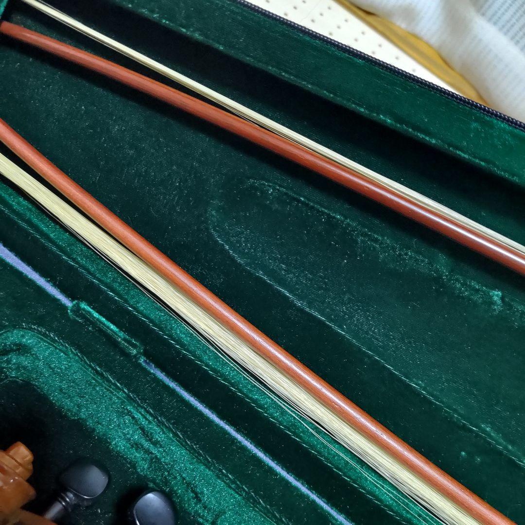 【訳アリ】Hallstatt ハルシュタット エレキバイオリン CV-210E