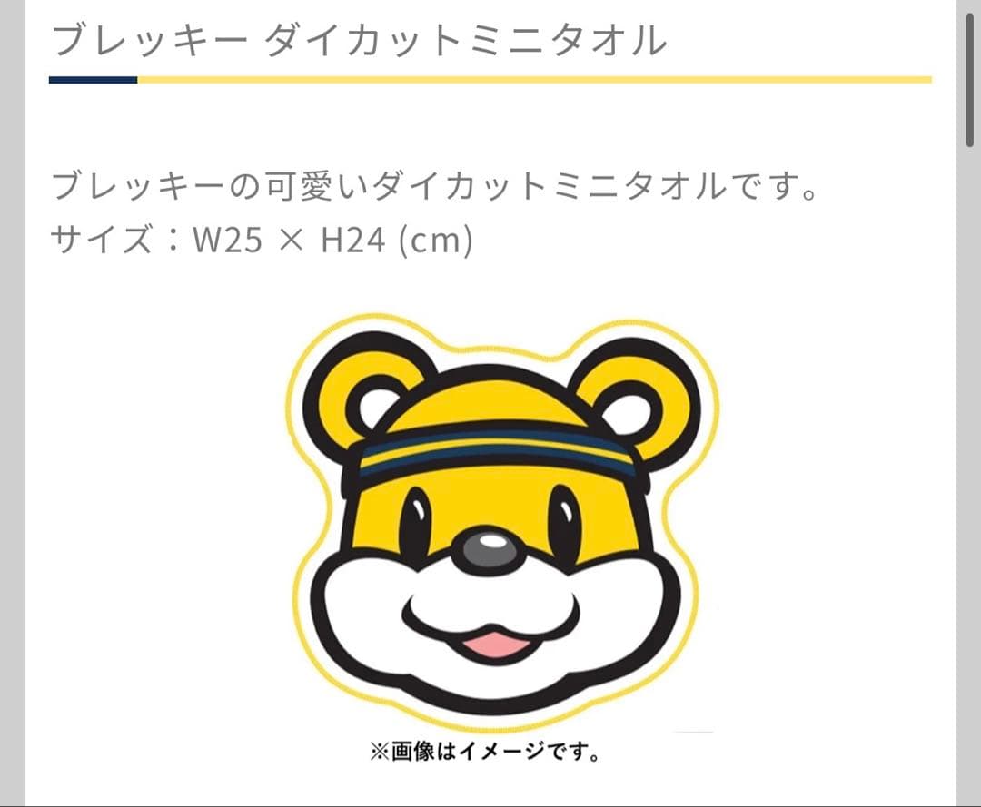 宇都宮ブレックス Brex ダイヤモンド ファンクラブ特典セット