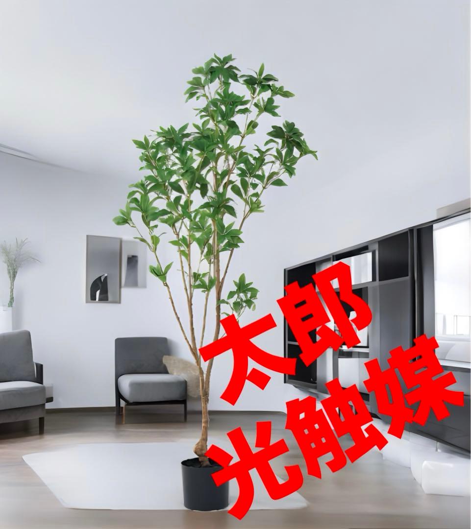 光触媒　人工観葉植物　ウォールグリーン　フェイクグリーン　アセビ150@m